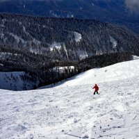 Куда понесло! :: Мишель71 
