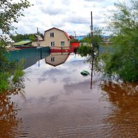 Подтопления на дачах :: Мишель71 Подтопления на дачах :: Мишель71
