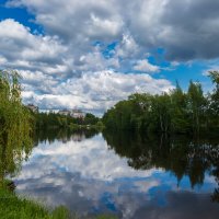 Природа на Сормовском озере :: Александр Синдерёв