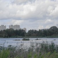 Озеро Пеньковое, Калининград :: Рита Симонова