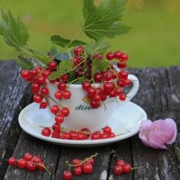 Нотка с красной смородиной .. :: Татьян@ Ивановна