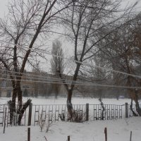 ледяной день :: Елена Шаламова