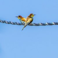 Во все четыре стороны. :: Владимир Савельев