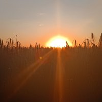 Овëс и закат  :: Вячеслав Коломойцев