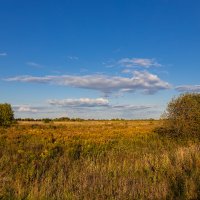 Вечер в лугах :: Александр Синдерёв