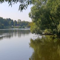 Шибаевский пруд :: Игорь Белоногов