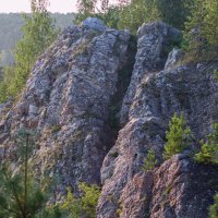 Не повторимые творения природы :: Любовь Сахарова Не повторимые творения природы :: Любовь Сахарова