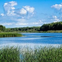 Про озёра Смоленщины. :: Милешкин Владимир Алексеевич Про озёра Смоленщины. :: Милешкин Владимир Алексеевич