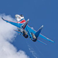 Вива авиа Новосибирск 2026 :: Михаил Измайлов Вива авиа Новосибирск 2026 :: Михаил Измайлов