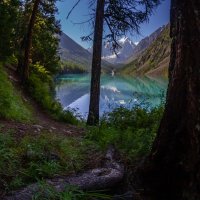 Утренний обход :: Алексей
