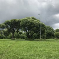 сквер