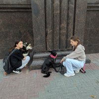 Разговор по душам