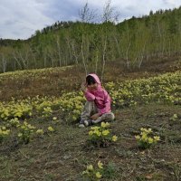 На поляне подснежников :: Александр Велигура На поляне подснежников :: Александр Велигура