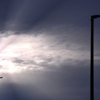 Повседневная жизнь