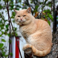 Эх.скоро  лето закончится...