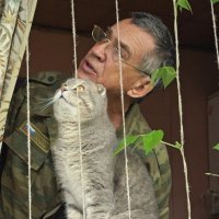 Кто же там ходит?