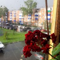 Лето :: Венера Чуйкова