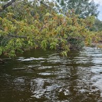 у воды