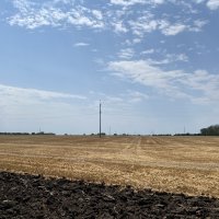 Поле
