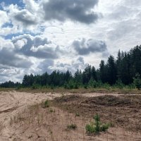 Мобильное фото :: Наталья Герасимова