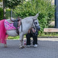 Пока нет клиентов