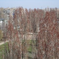 апрель