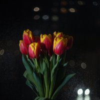 Тюльпаны у весеннего окна, дождём омытого вчерашней ночью.