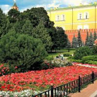 Красота цветения!