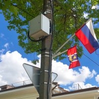 Всех видят, всё знают!
