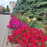 Мобильное фото