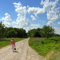 Вот моя деревня: Вот мой дом родной