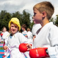 Жёлтая панама 3