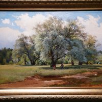 Ивы, освещенные солнцем :: Иван Литвинов