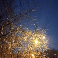 ледяной вечер :: Елена Шаламова ледяной вечер :: Елена Шаламова