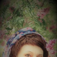 Акация :: Лана 