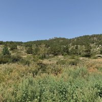 Восточный Казахстан . Окрестности Бухтармы.
