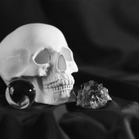 Skull :: Виталий Потапкин