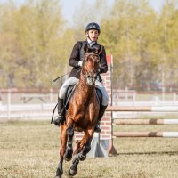Конкур :: SanSan 