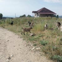 Солдатское ущелье.  Талгар. :: Murat Bukaev 