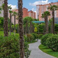 Парк Галицкого, Краснодар :: Игорь Сикорский