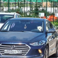 По зеркалам