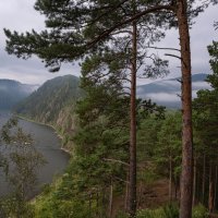 Природа Сибири