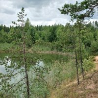 Лесное озеро
