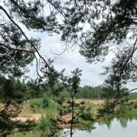 Природа :: Наталья Герасимова