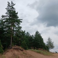Пейзаж :: Наталья Герасимова