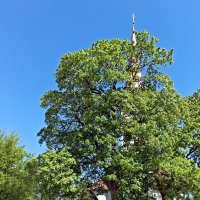 Церковь святого Михаила