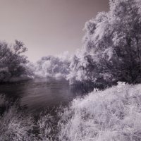 Река.Высокая вода...