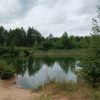 Лесное озеро