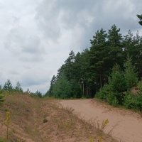 Дороги