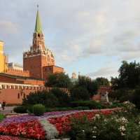 Александровский сад :: Дмитрий И_ Александровский сад :: Дмитрий И_